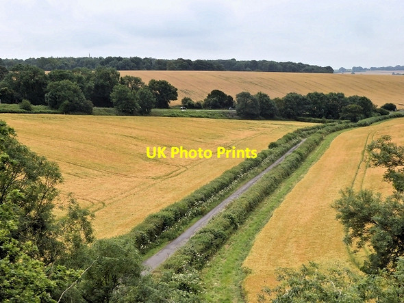 Photo 6"x4" Grosvenor Road Soldridge c2014