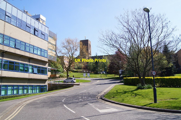 Photo 6"x4" Green space - Surrey University campus Guildford c2014