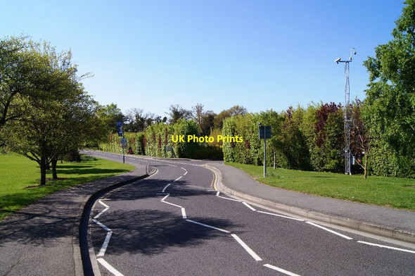 Photo 6"x4" University of Surrey ring road Guildford c2014