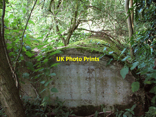 Photo 6"x4" WW2 air raid shelter Hindolveston c2014