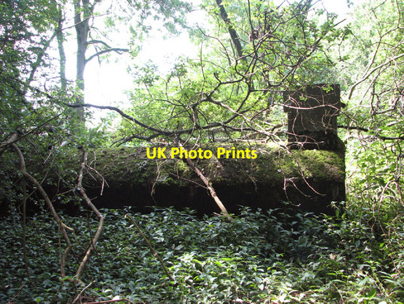 Photo 6"x4" WW2 air raid shelter Hindolveston c2014 P1