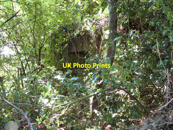 Photo 6"x4" Overgrown pillbox Hindolveston c2014