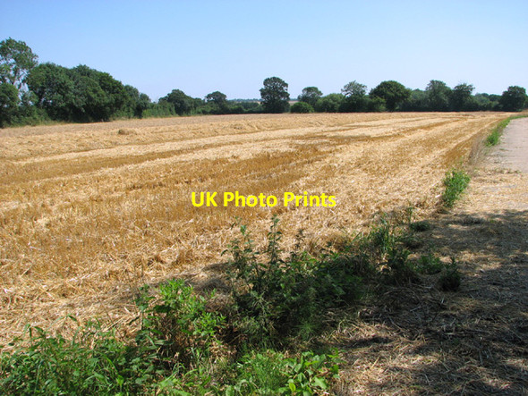 Photo 6"x4" Harvested field north of Barnard's Farm Bexfield c2014