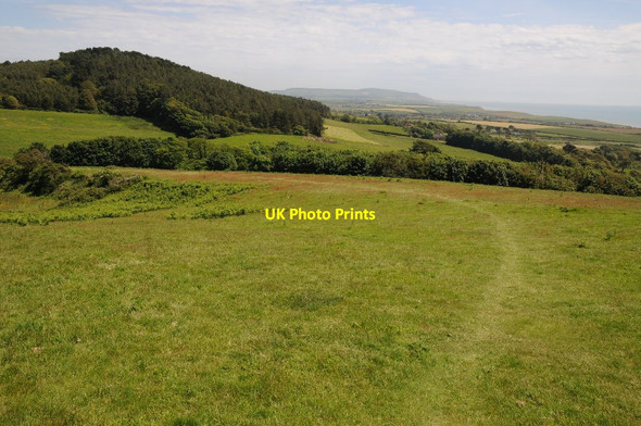 Photo 6"x4" View south-east from Castle Hill Moortown\/SZ4283 c2014