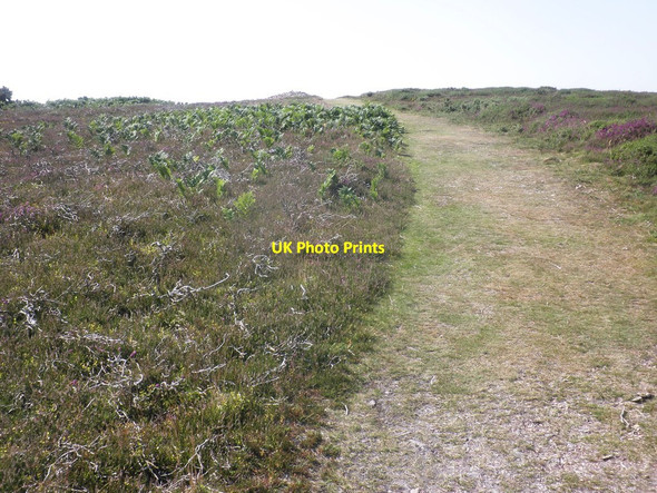 Photo 6"x4" Path to the top of Great Hangman Combe Martin c2014