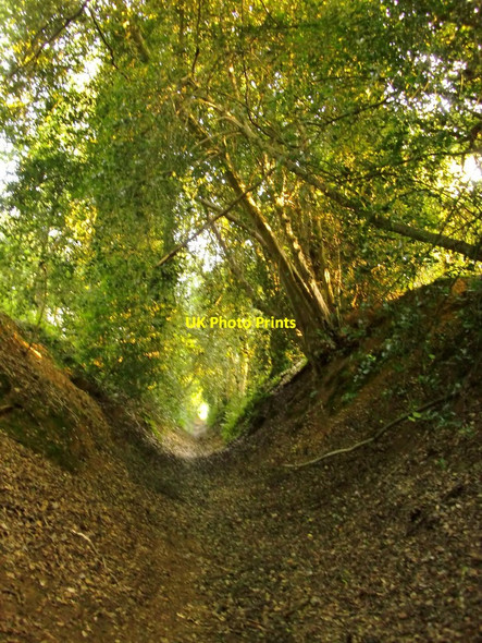 Photo 6"x4" Bridleway north of Rodsall Manor Shacklford c2014