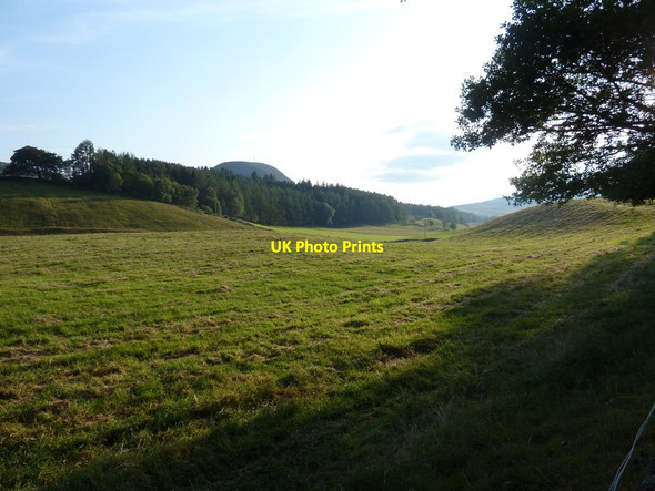 Photo 6"x4" Grassy field to the north of Auchmore Balvraid\/NH5051 c2014