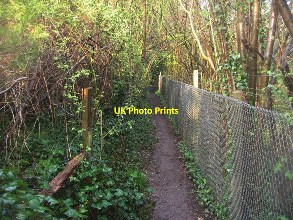 Photo 6"x4" Once a Geocache location East Oakley c2014