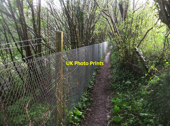 Photo 6"x4" Footpath by the railway East Oakley c2014