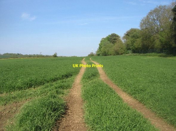 Photo 6"x4" Not footpaths East Oakley c2014