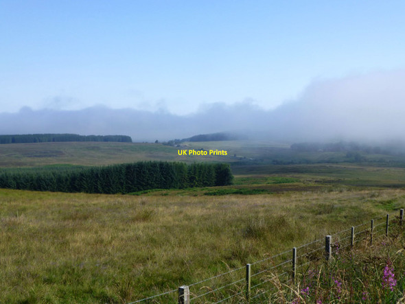 Photo 6"x4" Edge of bank of coastal fret Edlingham c2014