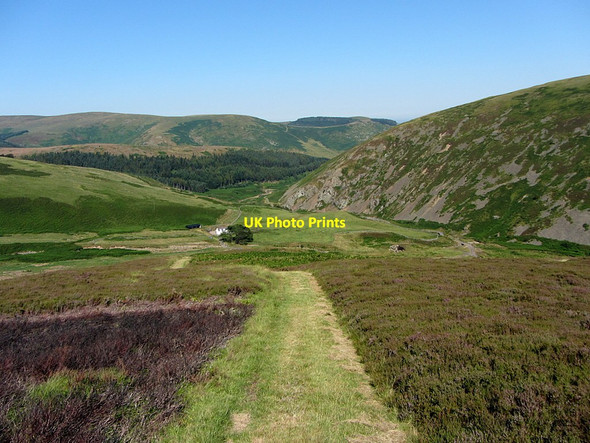 Photo 6"x4" Descent of Bellyside Hill Cheviot Hill c2014