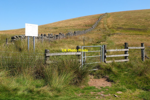 Photo 6"x4" Gate, Maiden's Cleugh Torphin c2014