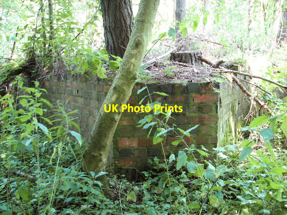 Photo 6"x4" Remains of the old sewage works Haveringland c2014