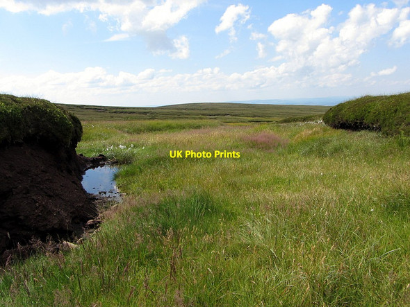 Photo 6"x4" Upper reach of College Burn north of Cairn Hill Cairn Hill\/NT9019 c2014