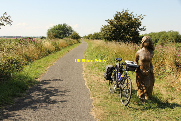 Photo 6"x4" Water Rail Way Bardney c2014