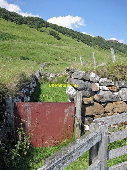 Photo 6"x4" Enclosures within the sheep pen Holm\/NG5151 c2014