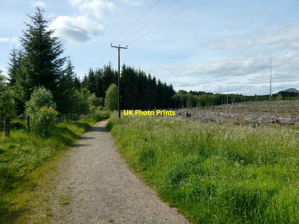 Photo 6"x4" Path to Boards Farm Road Mugdock c2014