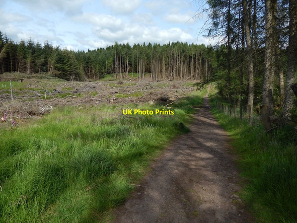 Photo 6"x4" Path to the Khyber Pass Mugdock c2014 P1