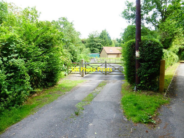 Photo 6"x4" Drives diverge and the public footpath takes the left course Pirbright c2014