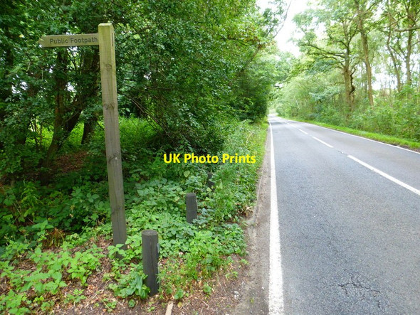 Photo 6"x4" Looking east on Smart's Heath Road Prey Heath c2014