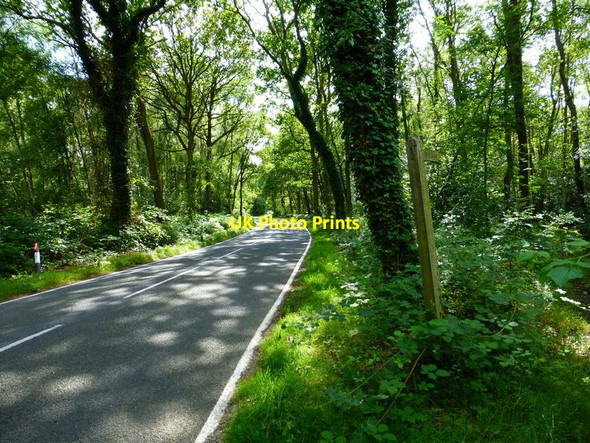 Photo 6"x4" Bridleway leads off Goose Rye Road Fox Corner\/SU9654 c2014