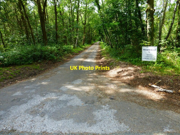 Photo 6"x4" Private road off Goose Rye Road Fox Corner\/SU9654 c2014
