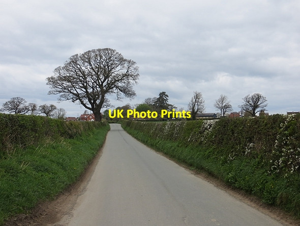 Photo 6"x4" Minor road, Little Ness Little Ness\/SJ4019 c2014