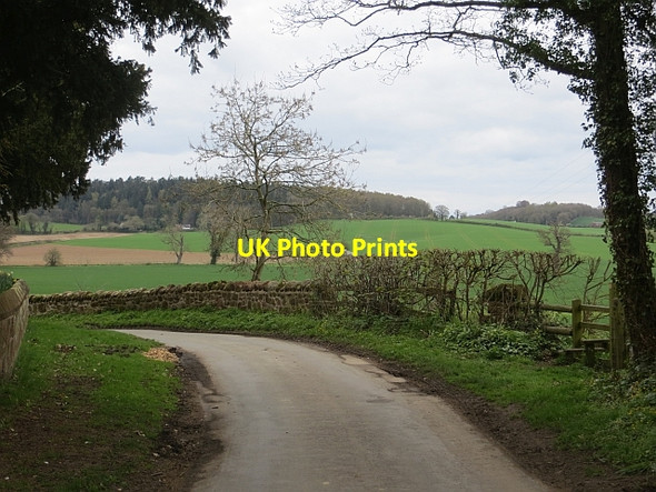 Photo 6"x4" Lane, Great Ness Great Ness c2014