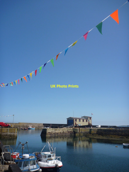 Photo 6"x4" Coastal Berwickshire : Bunting At St Abbs Harbour Northfield\/NT9167 c2014