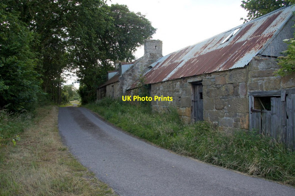 Photo 6"x4" Old farm buildings at Hilton of Embo Dornoch c2014