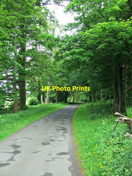 Photo 6"x4" Ardgowan Estate Inverkip c2014