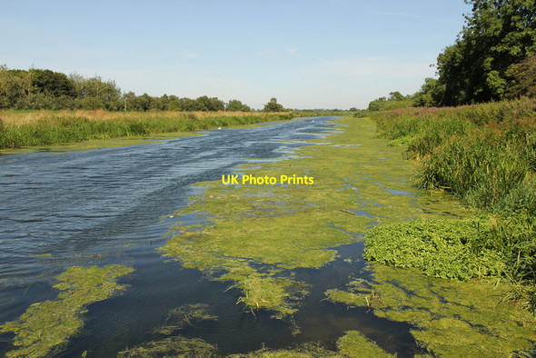 Photo 6"x4" River Witham Washingborough c2014
