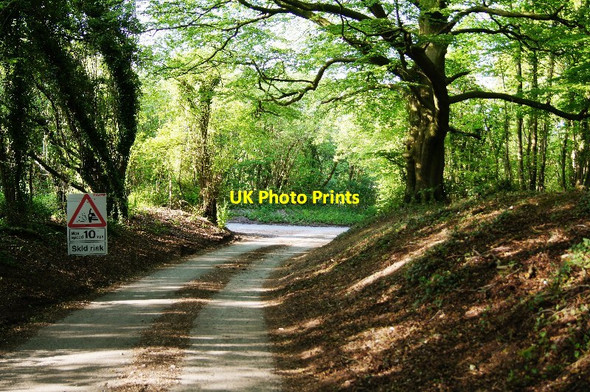 Photo 6"x4" Resurfacing rural lanes Cole Henley c2014