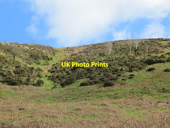 Photo 6"x4" Long Mynd scarp Churchmoor Rough c2014