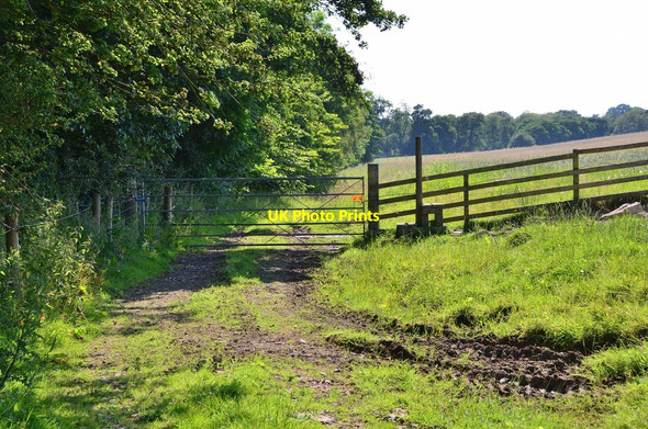 Photo 6"x4" Gate and stile, Haining Moss Selkirk c2014