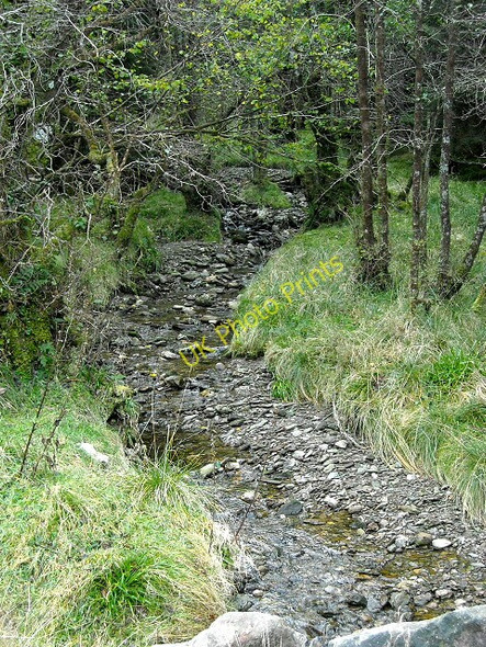 Photo 6"x4" Burn in Loch Ard Forest Loch Chon c2008