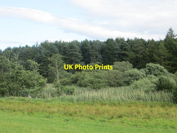 Photo 6"x4" Wetland, Creich Brunton\/NO3220 c2014