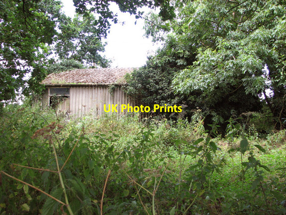 Photo 6"x4" Overgrown RAF building Bush Green\/TM0298 c2014