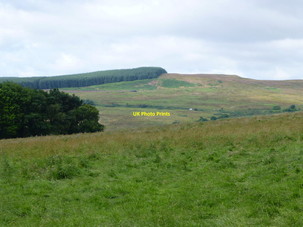 Photo 6"x4" Pasture below Snook Bank Glantlees c2014