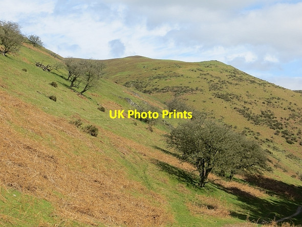 Photo 6"x4" Side of Minton Batch Asterton c2014