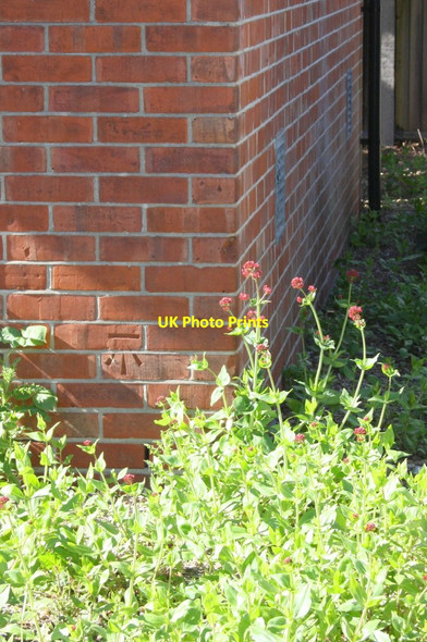 Photo 6"x4" Benchmark on electricity substation, Cressingham Road Reading c2014