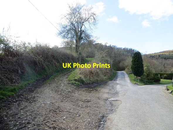 Photo 6"x4" Road junction, Churchmoor Hamperley c2014