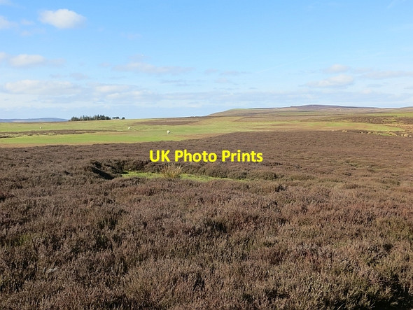 Photo 6"x4" Plateau, Long Mynd Handless c2014