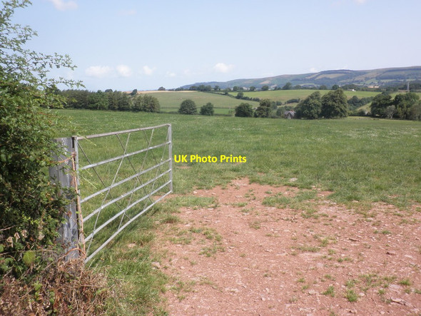 Photo 6"x4" Field above Willett House Higher Vexford c2014