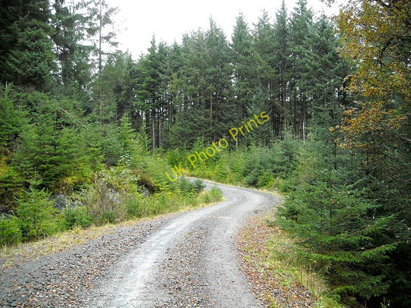 Photo 6"x4" Track in Loch Ard Forest Kinlochard c2008