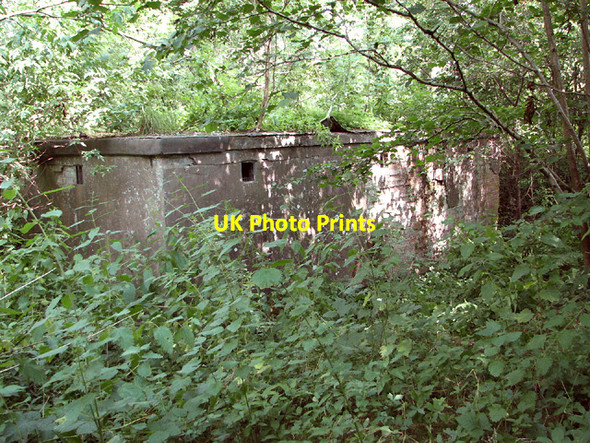 Photo 6"x4" The Component store High Green\/TF9214 c2014
