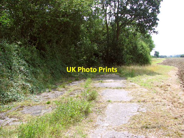 Photo 6"x4" Track to the bomb storage area High Green\/TF9214 c2014