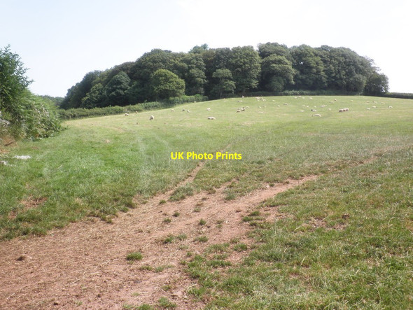 Photo 6"x4" Gaulden Wood Handy Cross\/ST1231 c2014