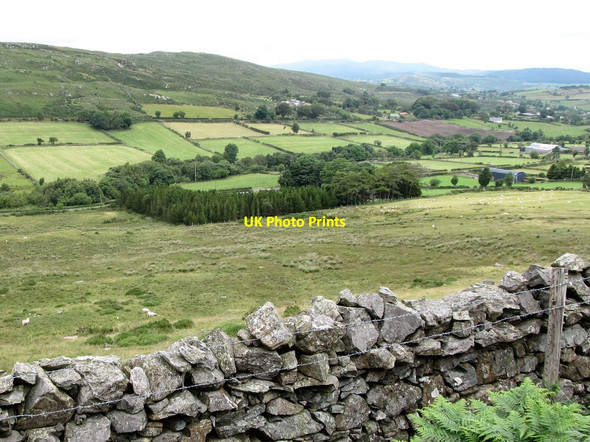 Photo 6"x4" Shelter belt around a farmhouse on Trassey Road Kilcoo c2014